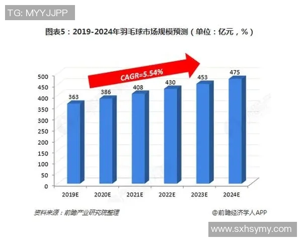杭州羽毛球队状态分析与未来发展展望探讨