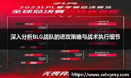 333体育官网