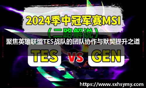 聚焦英雄联盟TES战队的团队协作与默契提升之道
