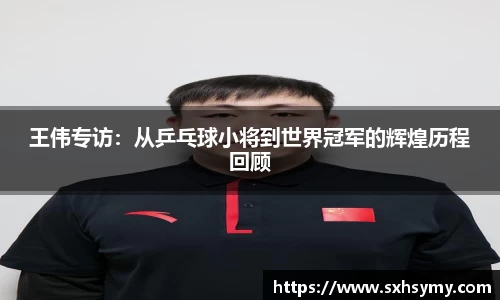 333体育