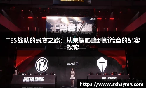 TES战队的蜕变之路：从荣耀巅峰到新篇章的纪实探索