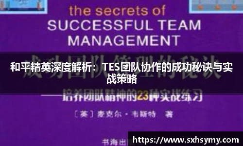 和平精英深度解析：TES团队协作的成功秘诀与实战策略