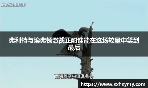 弗利特与埃弗顿激战正酣谁能在这场较量中笑到最后