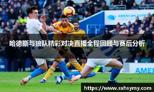 哈德斯与狼队精彩对决直播全程回顾与赛后分析