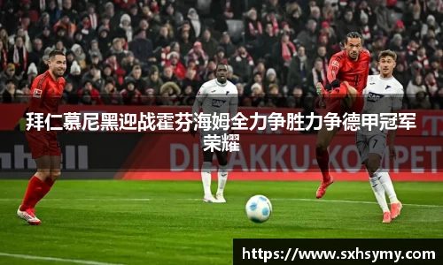 拜仁慕尼黑迎战霍芬海姆全力争胜力争德甲冠军荣耀